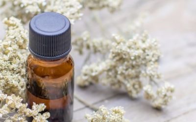 Prendersi cura di sé in maniera naturale con la fitoterapia